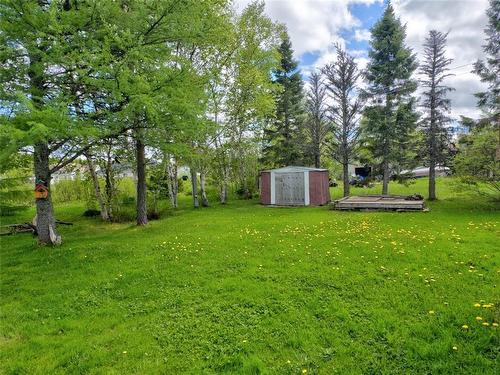 21 Bowater Drive, Appleton, NL 