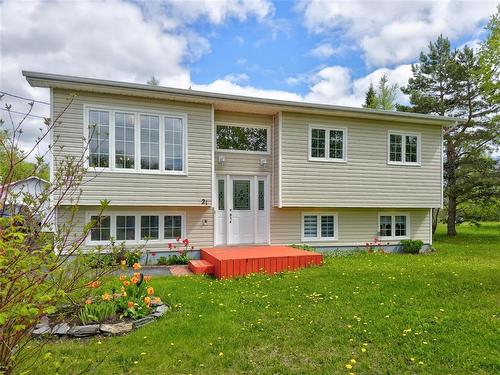 21 Bowater Drive, Appleton, NL 