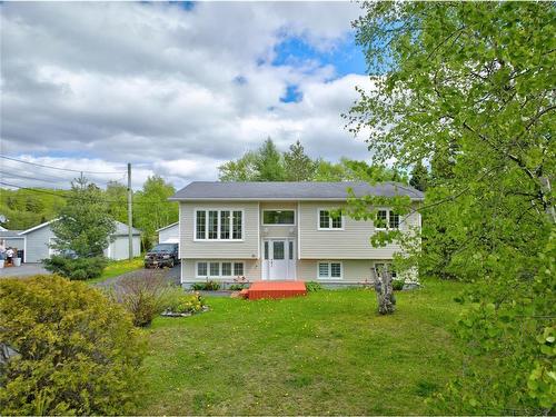 21 Bowater Drive, Appleton, NL 