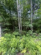0 POND ROAD Tay Valley, ON K0H 2B0