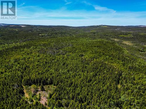 11 Pondside Lane, Torbay, NL 