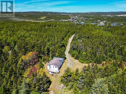 11 Pondside Lane, Torbay, NL 