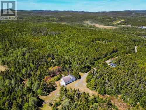 11 Pondside Lane, Torbay, NL 
