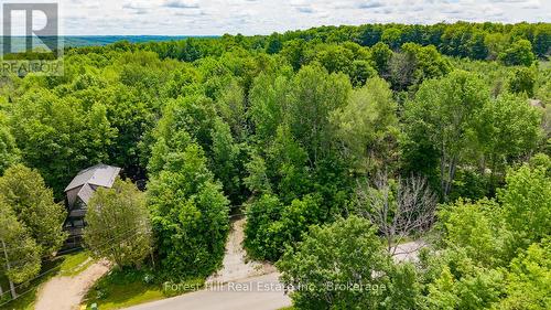 154 BOWLES BLUFF ROAD  Grey Highlands, ON N0C 1H0