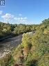 1631 Eglinton Avenue W, Mississauga, ON 