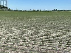 LT 26&27 THIRD CONCESSION LINE Chatham-Kent (Romney), ON N0P 2P0