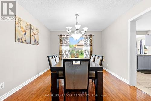 29 Nasmith Street, Brampton, ON 