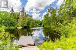 Clean swimming and deep water off the dock - 