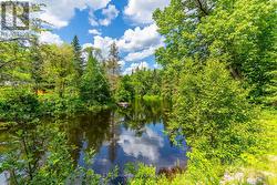 Miles of canoeing and kayaking adventures await. - 