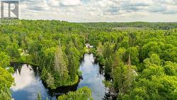 long river view - 
