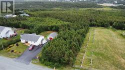 198 Bauline Line Extension  Portugal Cove - St Philips, NL A1M 2V5