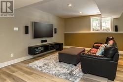 Tv area in rec room - 