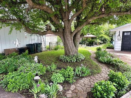 242 Empire Ave, Thunder Bay, ON 