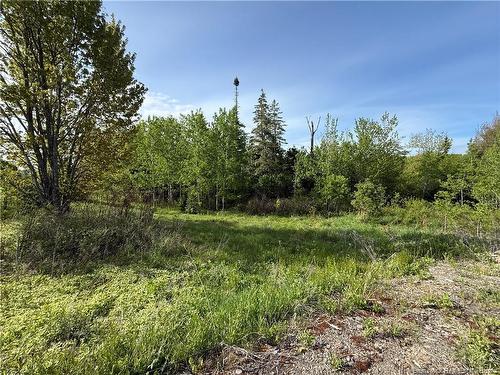 926 575 Rte, Pole Hill, NB 