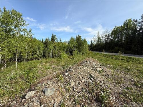 926 575 Rte, Pole Hill, NB 