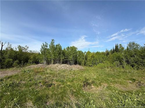 926 575 Rte, Pole Hill, NB 