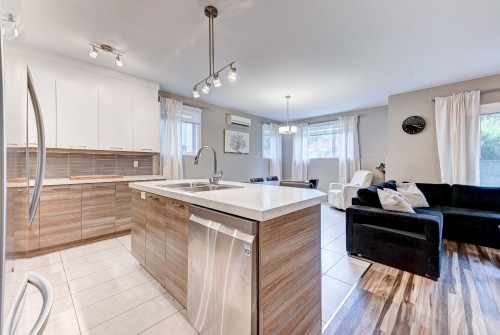 Cuisine - 102-56 Rue St-Pierre, Saint-Constant, QC - Indoor Photo Showing Kitchen With Double Sink