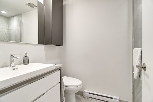 Bathroom - 301-1288 Rue St-Antoine O., Montréal (Ville-Marie), QC 