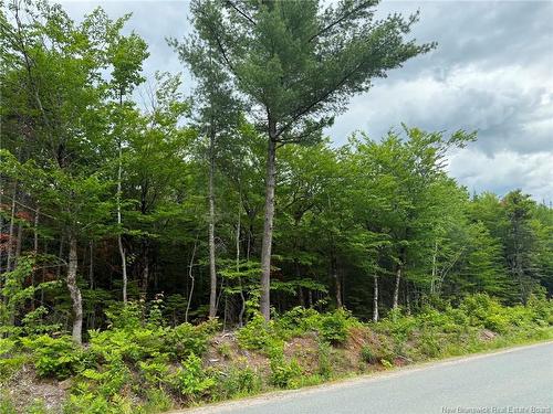 Lot 3 Hansen Rd, Miramichi, NB 