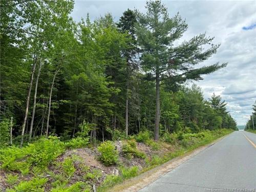 Lot 3 Hansen Rd, Miramichi, NB 