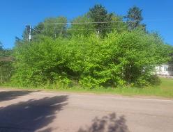 LOT Scales Pond Road  South Freetown, PE C0B 1M0