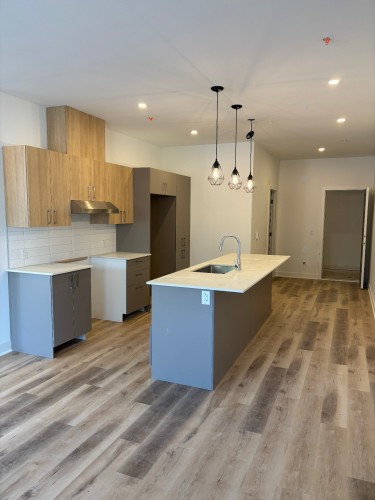 Kitchen - 107-1101 Ch. D'Oka, Deux-Montagnes, QC - Indoor Photo Showing Kitchen