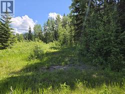16270 ROBINSON ROAD Prince George, BC V2K 5K9