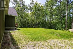 Spacious back yard perfect for pets or grandkids - 