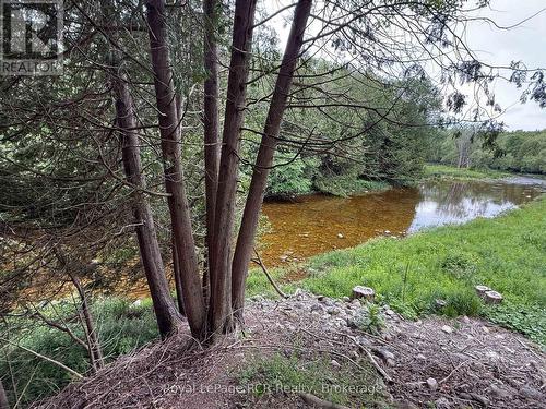 384275 Concession 4, West Grey, ON 
