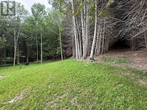 384275 Concession 4, West Grey, ON 