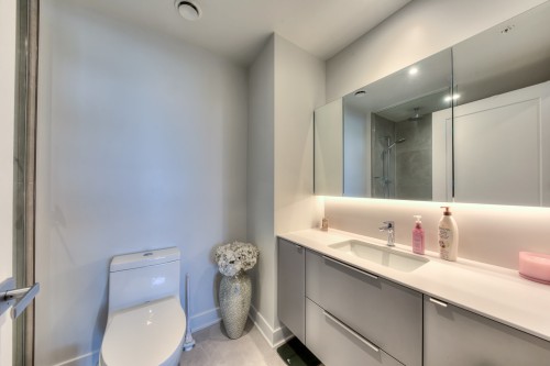Bathroom - 406-399 Rue De La Rotonde, Montréal (Verdun/Île-Des-Soeurs), QC 