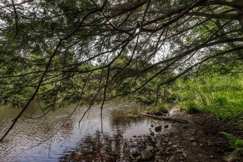 Accès au plan d'eau - Ch. Riley, Saint-Étienne-De-Bolton, QC 
