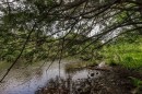 Accès au plan d'eau - Ch. Riley, Saint-Étienne-De-Bolton, QC 