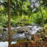 Vue sur l'eau - 54 Ch. Williams, Gore, QC 