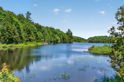 Accès au plan d'eau - 54 Ch. Williams, Gore, QC 
