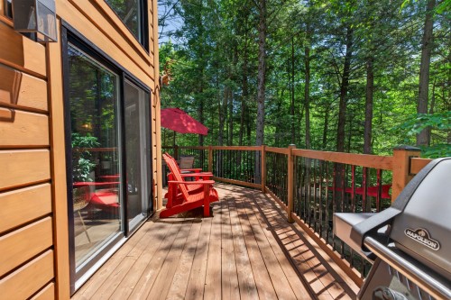 Balcon - 54 Ch. Williams, Gore, QC 