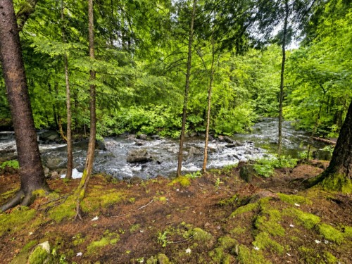 Vue sur l'eau - 54 Ch. Williams, Gore, QC 