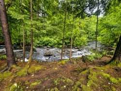 Vue sur l'eau - 