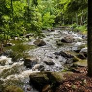 Vue sur l'eau - 