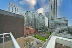 View - 