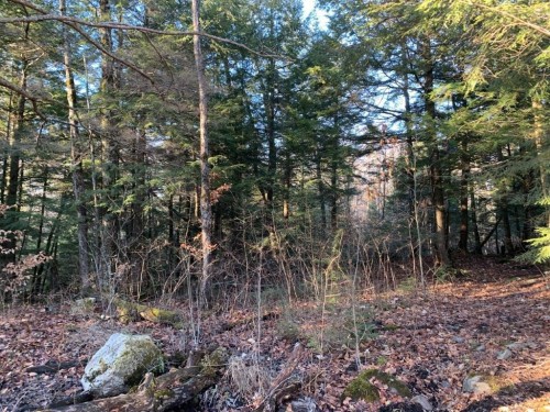 Terre/Terrain - 470 Ch. Clark, La Pêche, QC 