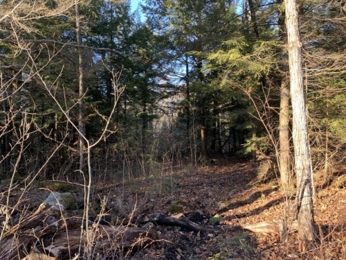 Terre/Terrain - 470 Ch. Clark, La Pêche, QC 