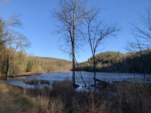 Terre/Terrain - 470 Ch. Clark, La Pêche, QC 