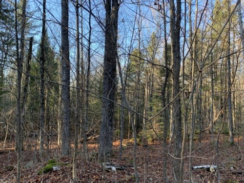 Terre/Terrain - 470 Ch. Clark, La Pêche, QC 
