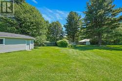 Backyard - 
