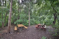 Wooded property featuring two picnic tables and a natural ground cover of leaves and wood chips - 