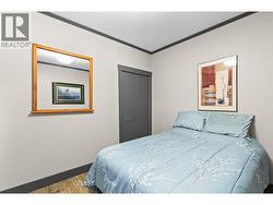 Lower level bedroom - 