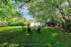 Backyard - 