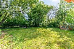 Backyard - 