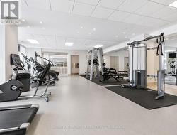 Gym - 